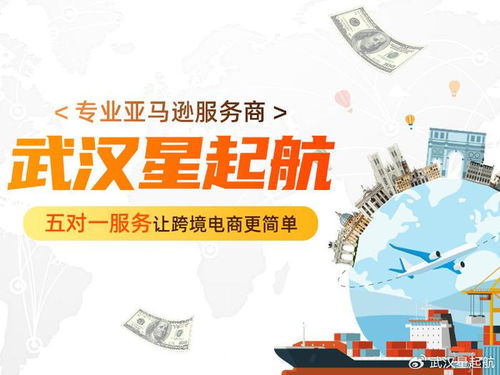 武汉星起航 把握时代脉搏，引领跨境电商新浪潮